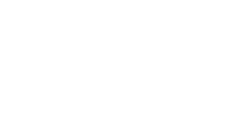 STORM LOGO - WHITE STORM LOGO - WHITE